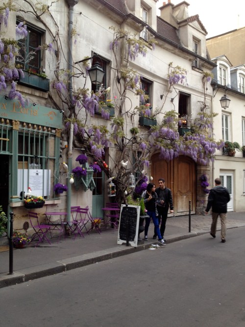 Wisteria!