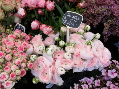 Ridonculous ranunculus.