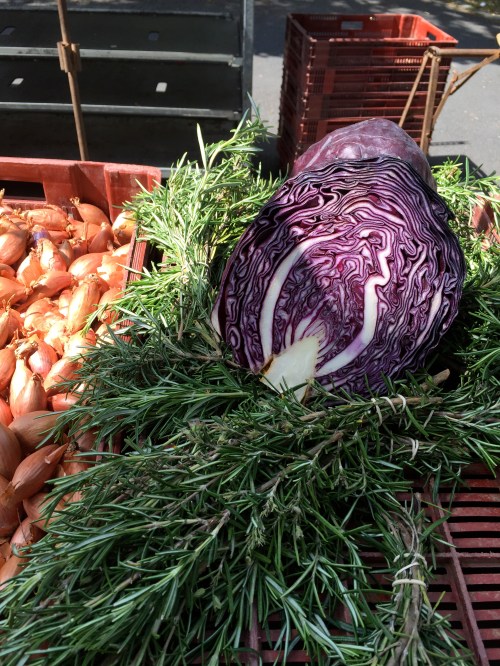 cabbage and rosemary with a side of shallots