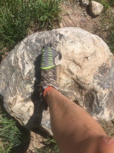 The sock was a bit worse for wear at the end of the hike.